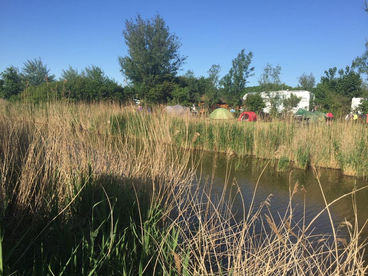 Bed & Breakfast De Zeehoeve